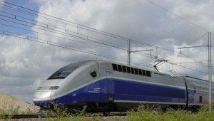 portfolio - EIA da Ligação Ferroviária de Alta Velocidade entre Lisboa e Porto